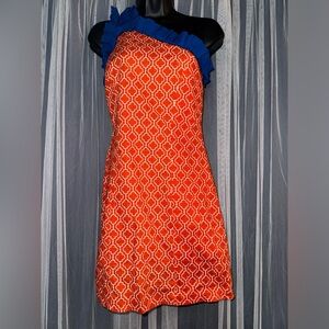Natalie Kim Custom Florida Gators Gameday Dress